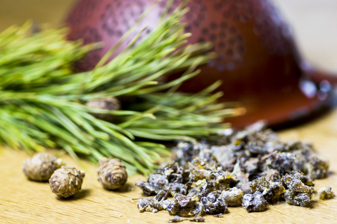 Zirbenharz ungereinigt - Heimische Harze, Räuchern, Pechsalbe, Alpenweihrauch