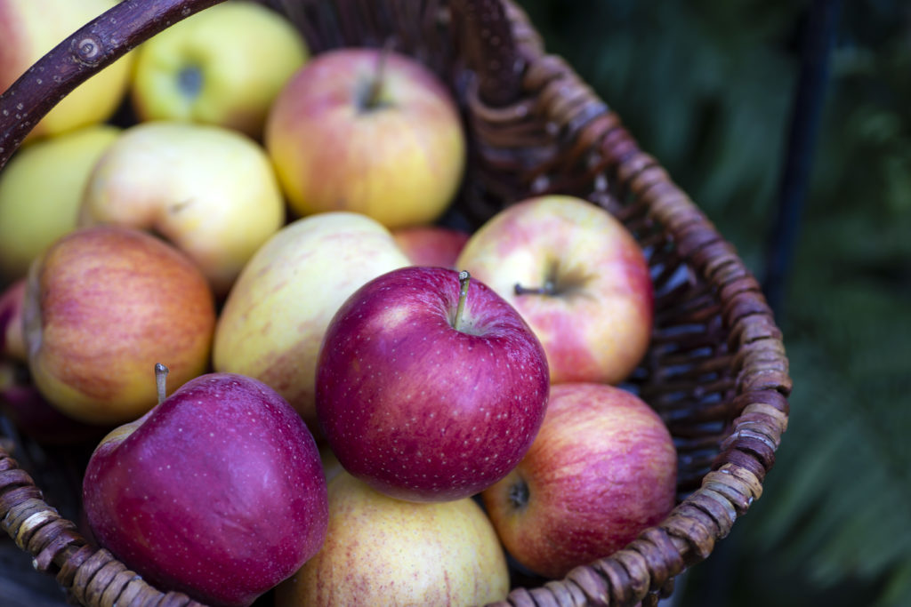 Apfel-Minz-Gelee natürlich geliert mit Apfelpektin | Wilde Möhre Blog Blog