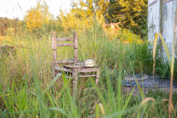 Natürliches Mittel gegen Insekten: DIY Mottensäckchen | Wilde Möhre