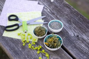 Vorbereitung für DIY Motten- & Insektensäckchen: Lavendel, Rainfarn, Eberraute
