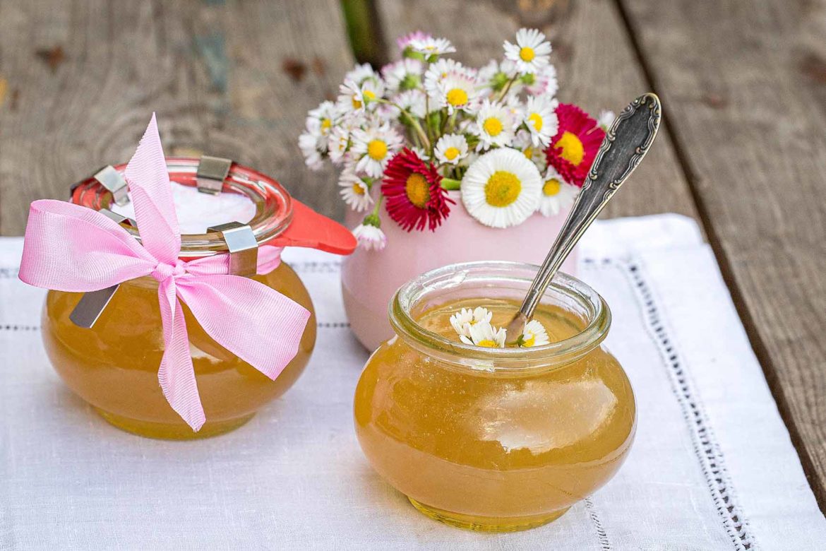 Gänseblümchen Gelee