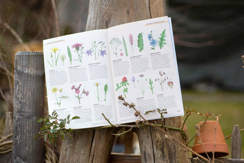 Beilage von natur&land (Zeitschrift des Naturschutzbundes) mit Sommerblumenportraits