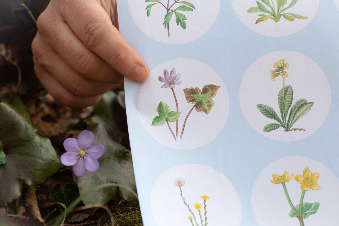 Mein Aufblühn" Frühlingsalbum